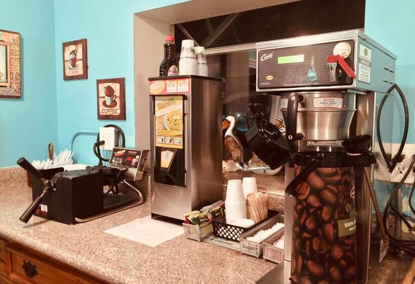 스탠다드 스튜디오, The Shores Inn