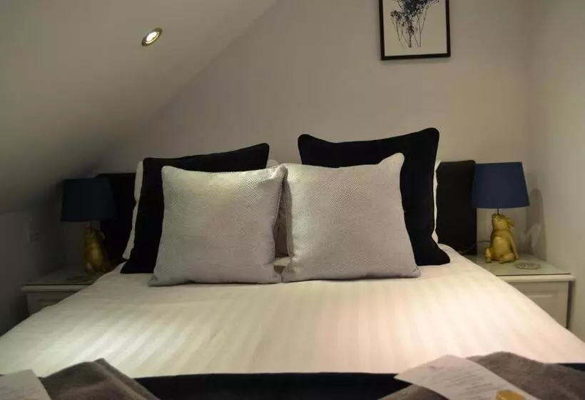 Basic-huone, Harriet House B&b
