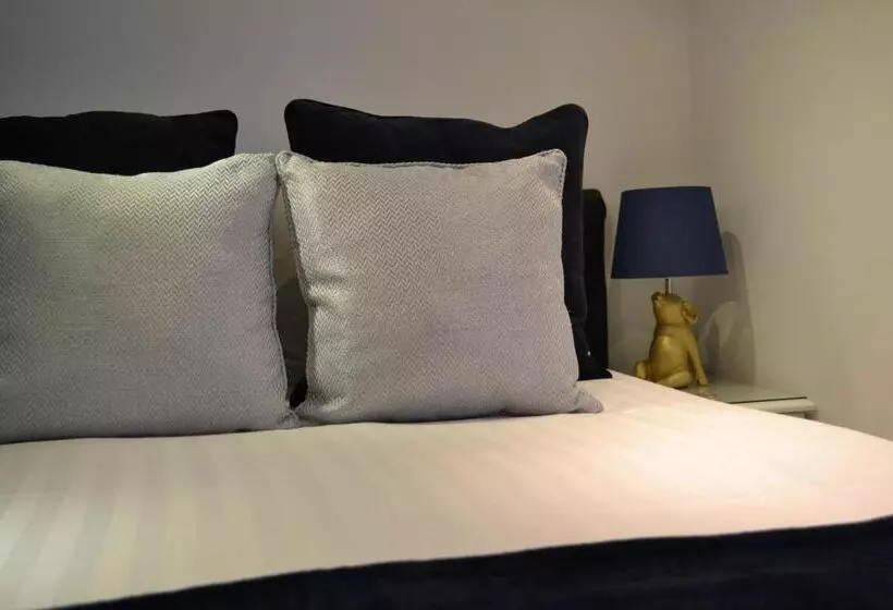 Basic-huone, Harriet House B&b