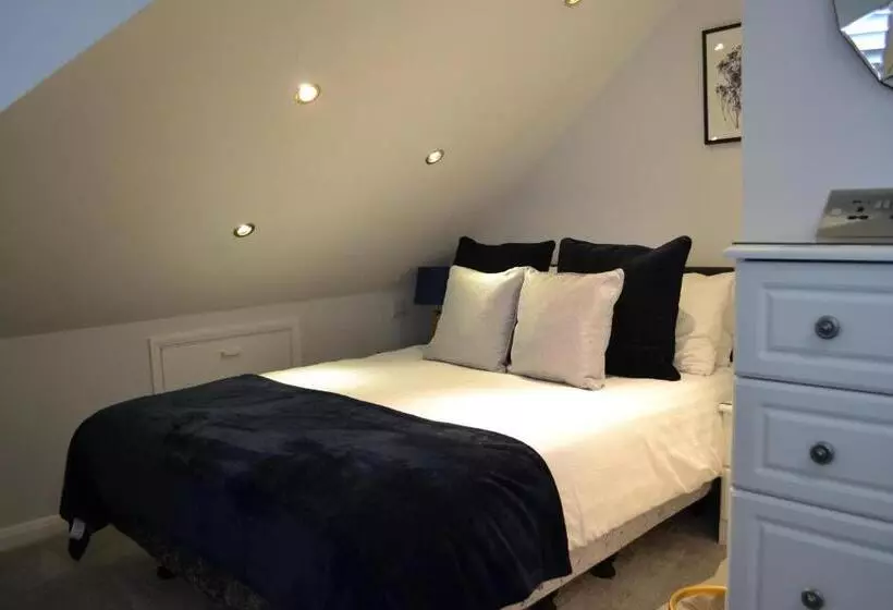 Basic-huone, Harriet House B&b
