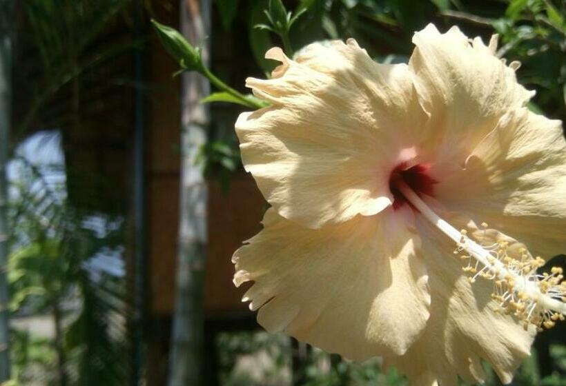 Deluxe Bungalow, Ing Doi Guest House