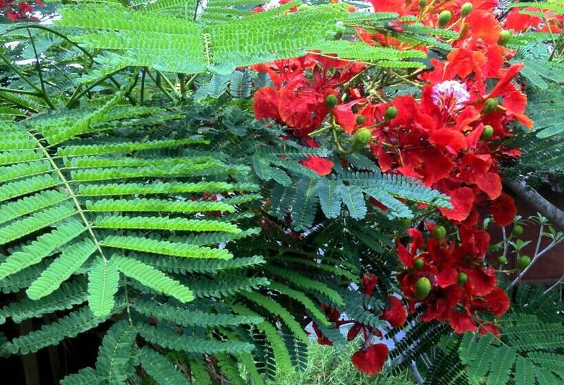 Deluxe Bungalow, Ing Doi Guest House