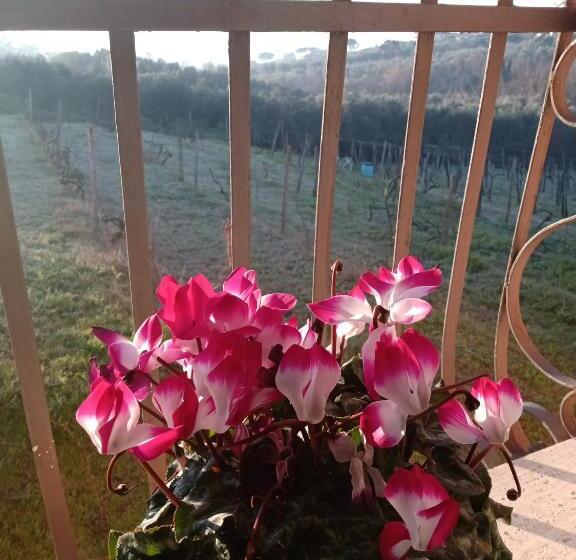 스탠다드 룸, Poggio Agli Ulivi