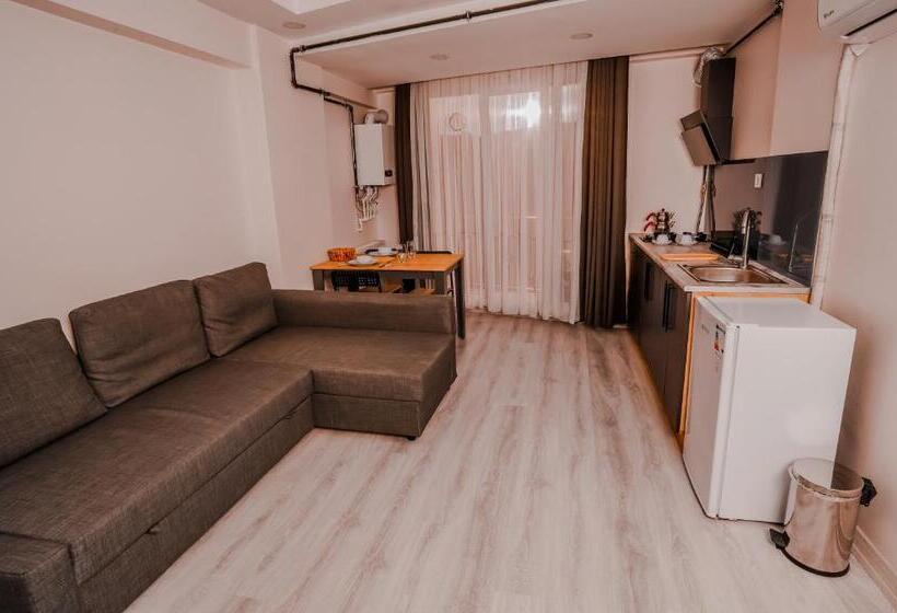 استودیو خانوادگی, Neva Residence