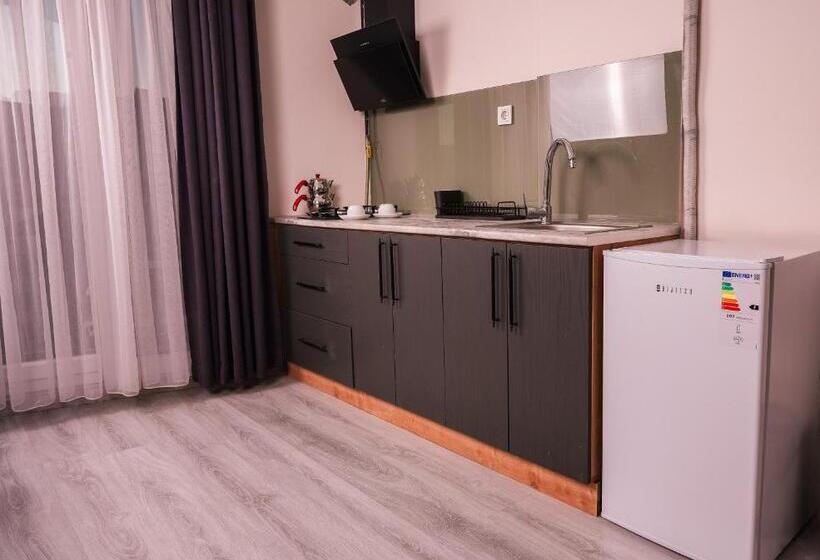 استودیو خانوادگی, Neva Residence