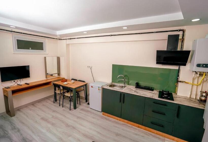 استودیو خانوادگی, Neva Residence