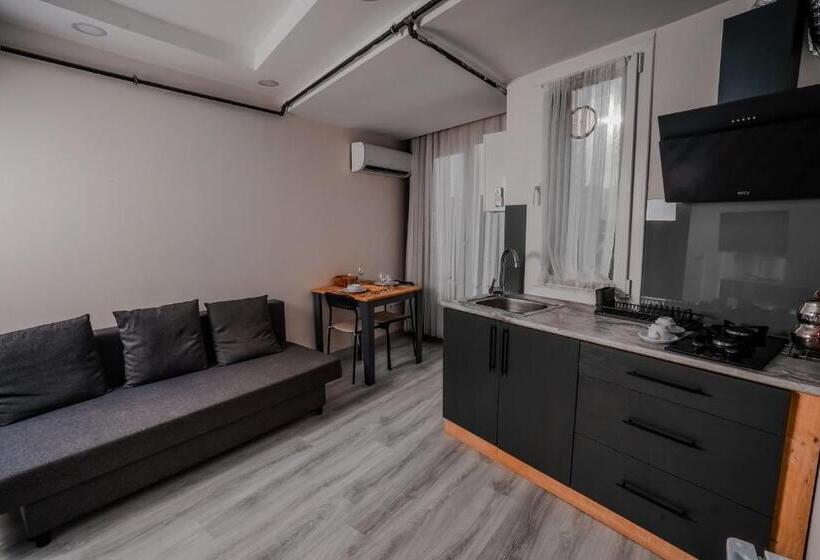 استودیوی استاندارد با تخت دوبل, Neva Residence