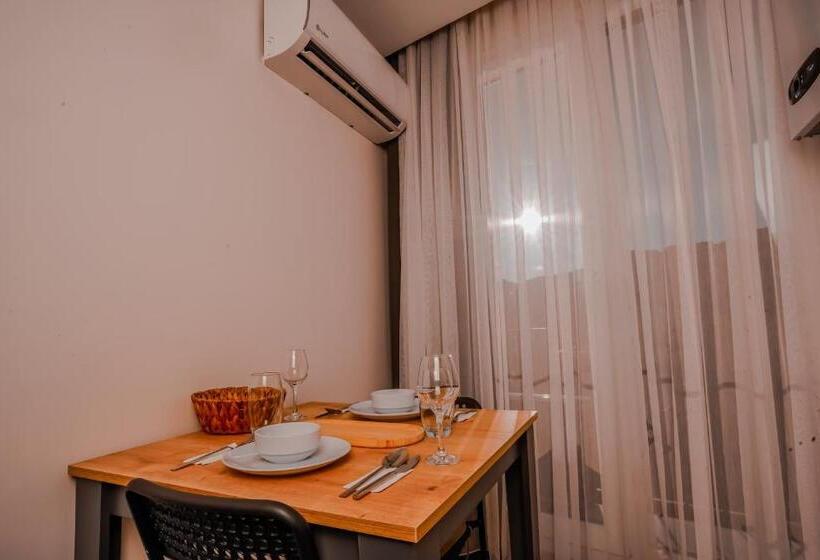 استودیوی استاندارد با تخت دوبل, Neva Residence