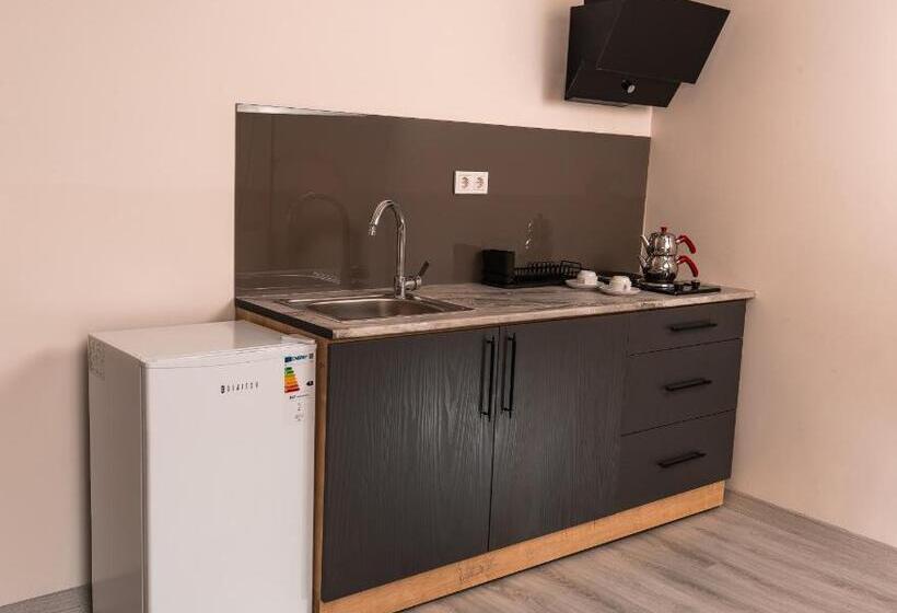 اتاق استاندارد با تخت بزرگ, Neva Residence