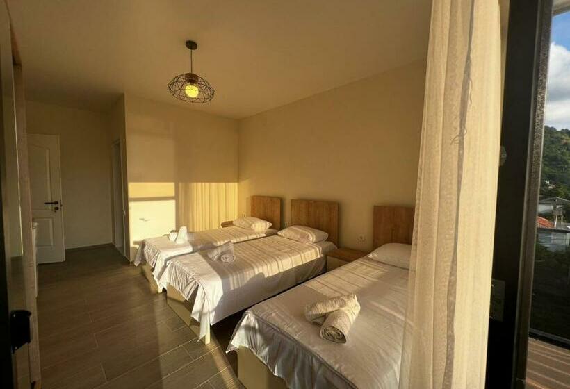 اتاق استاندارد سه تخته با چشمانداز, Heart Hotel Gonio