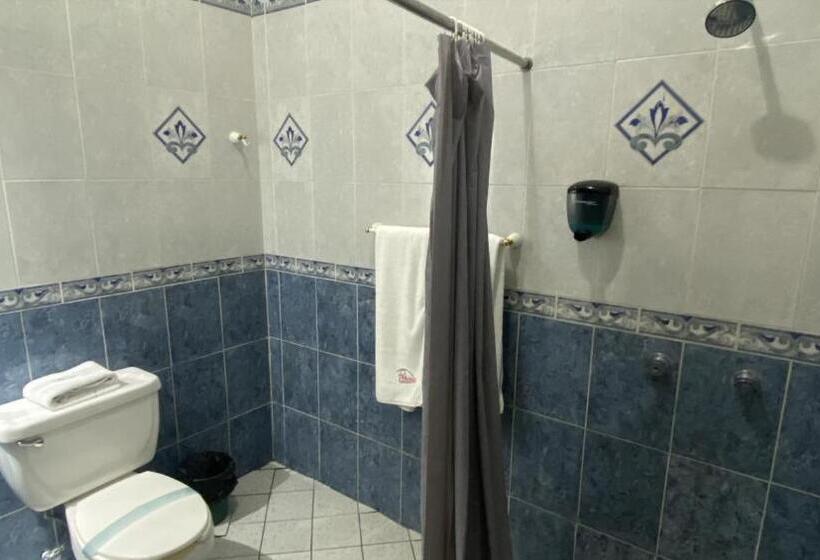 标准间, Camelinas