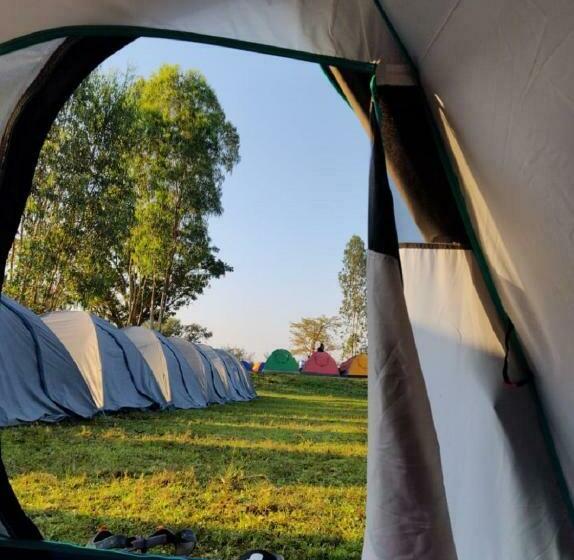 Tenda Padrão, Nirwana Stays