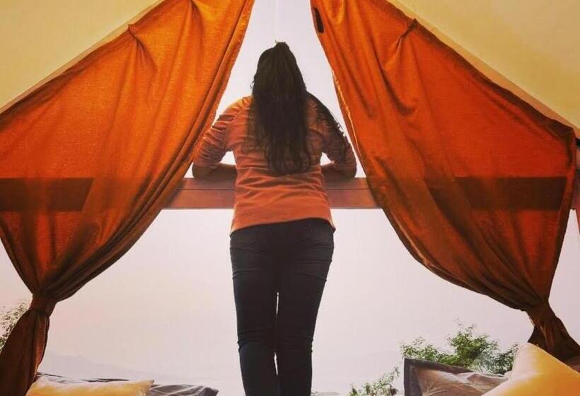 Quarto standard, Nirwana Stays