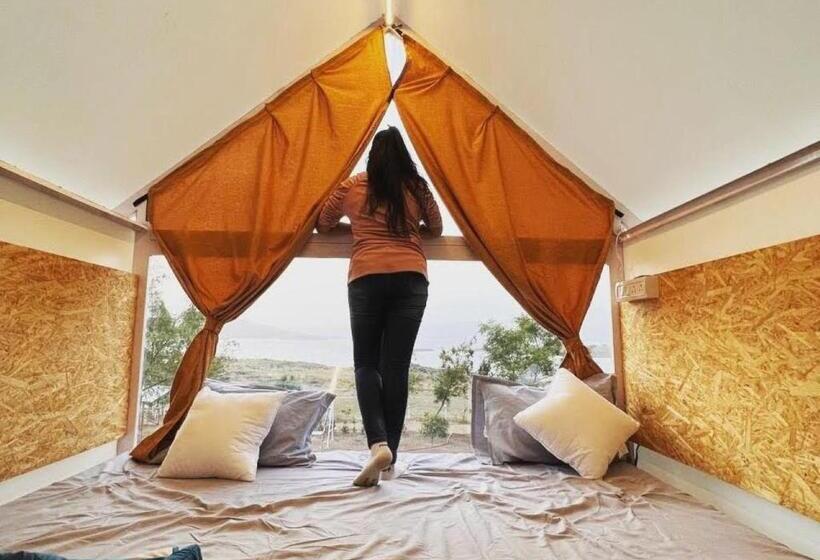 Quarto standard, Nirwana Stays