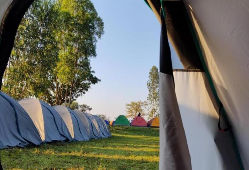 Tenda Padrão, Nirwana Stays