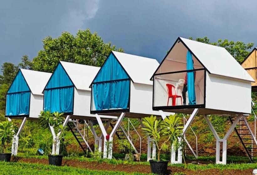 Quarto standard, Nirwana Stays