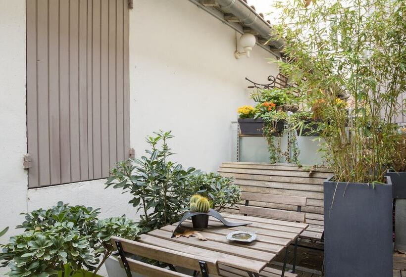 高级大房间, Boquier