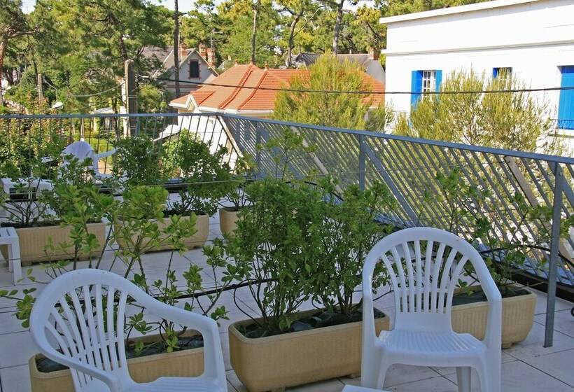 اتاق سوپریور با چشمانداز جانبی دریا, La Concorde