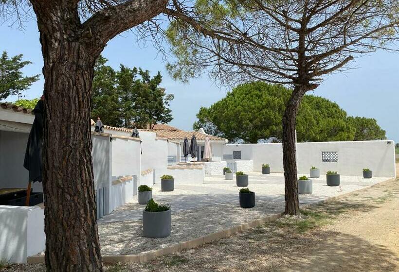 舒适三人间, Mas Des Lys