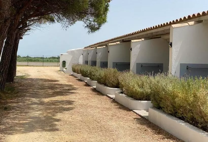 اتاق استاندارد, Mas Des Lys