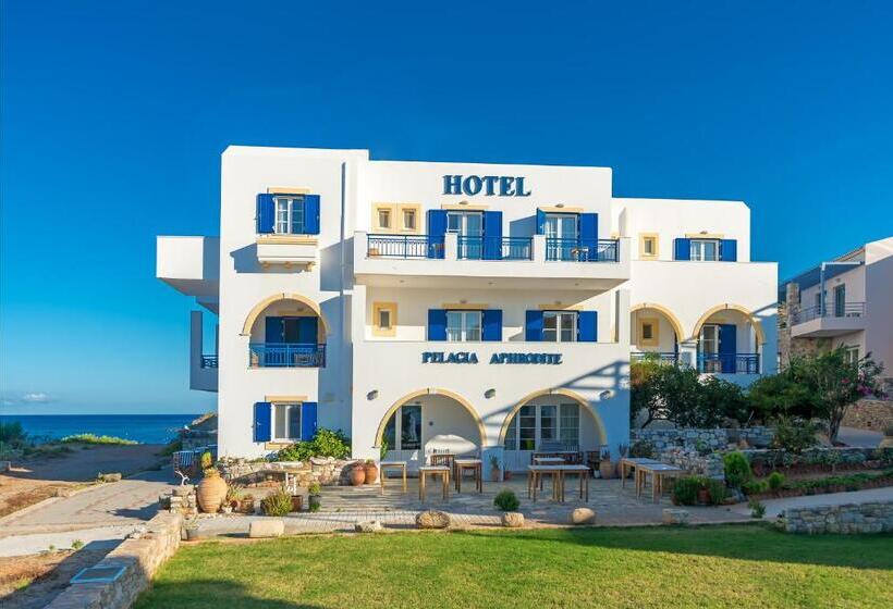 Трехместный Номер Классика, Pelagia Aphrodite