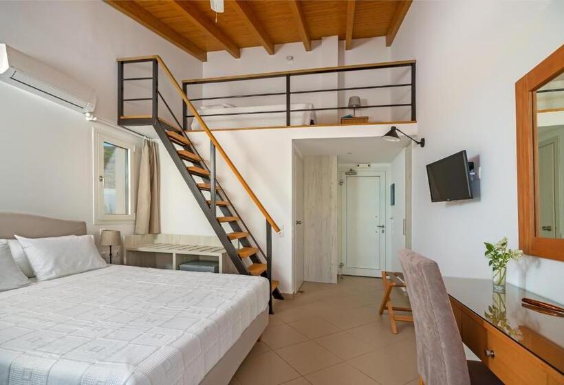 Номер Стандарт, Pelagia Aphrodite