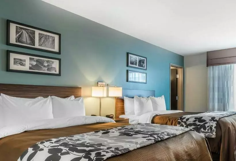 身障者適用スタンダードルーム, Sleep Inn & Suites Cumberland