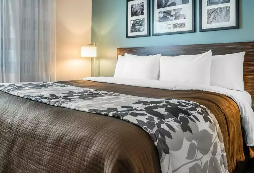 キングサイズベッドのスイートルーム, Sleep Inn & Suites Cumberland