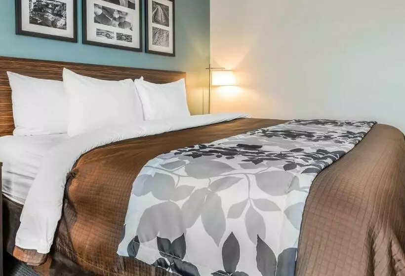 キングサイズベッドのスタンダードルーム, Sleep Inn & Suites Cumberland