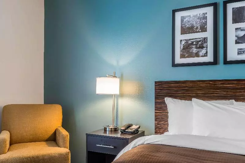 キングサイズベッドのスタンダードルーム, Sleep Inn & Suites Cumberland