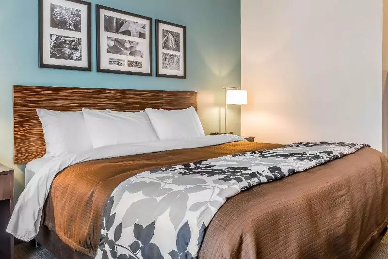 キングサイズベッドのスタンダードルーム, Sleep Inn & Suites Cumberland
