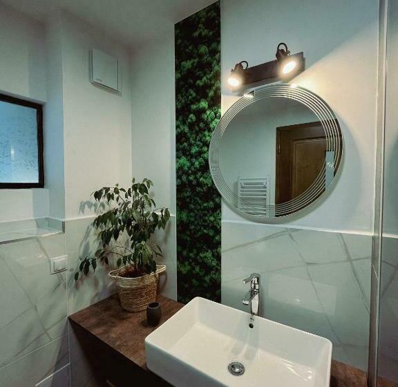 디럭스 룸, Pensiunea Senin