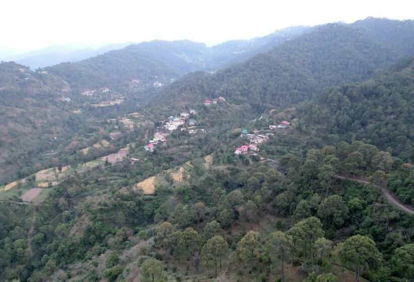 标准单人间, Himalayan Hits Kasauli