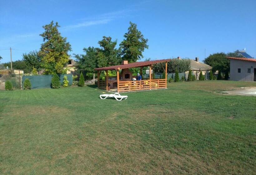 اتاق استاندارد با تخت بزرگ, Pensiunea Paradiso Sarinasuf