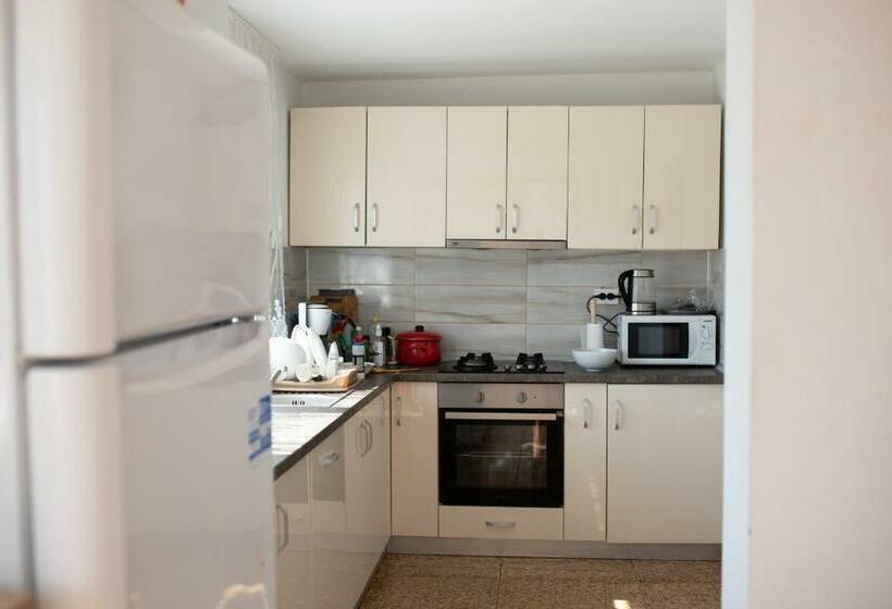 اتاق استاندارد با تخت بزرگ, Pensiunea Paradiso Sarinasuf