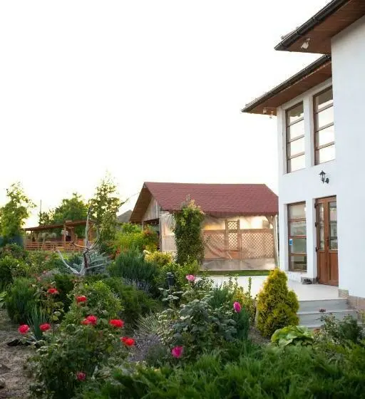 اتاق استاندارد با تخت بزرگ, Pensiunea Paradiso Sarinasuf