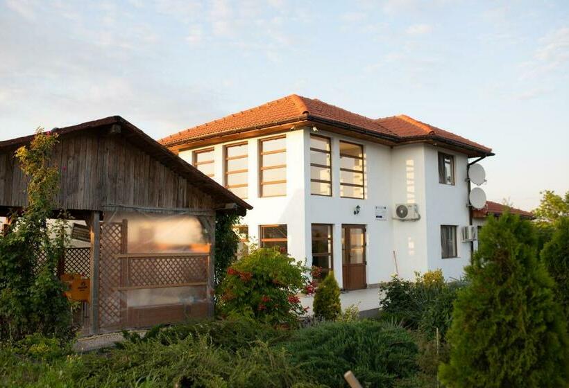 اتاق استاندارد با چشم‌انداز باغ, Pensiunea Paradiso Sarinasuf