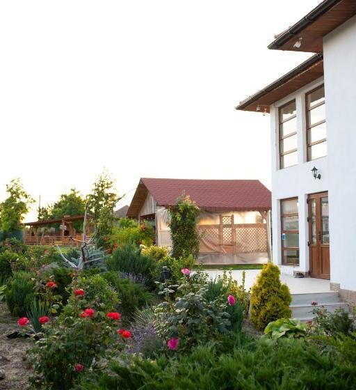 اتاق استاندارد سه تخته با چشم‌انداز باغ, Pensiunea Paradiso Sarinasuf