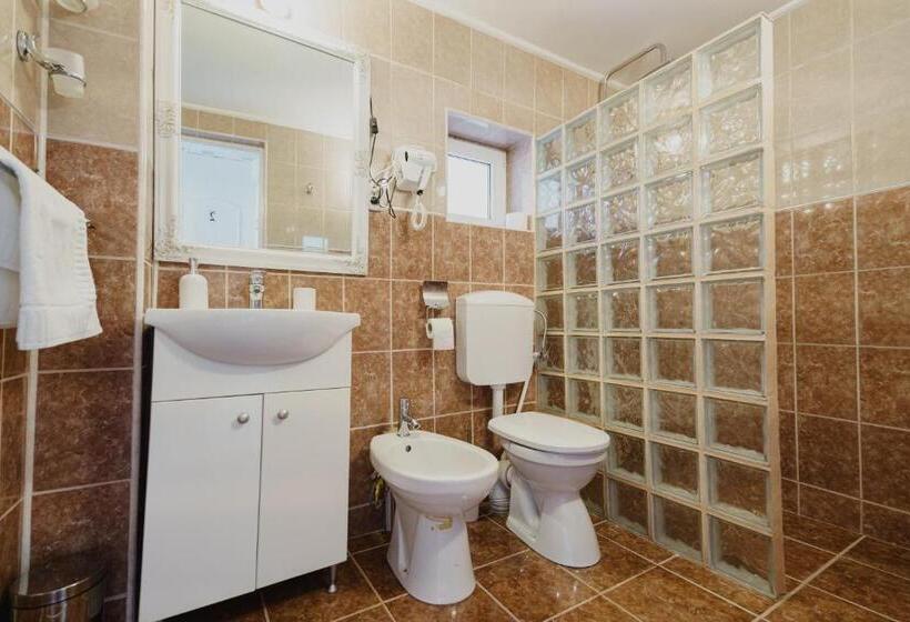 غرفة قياسية, Casa Baronului