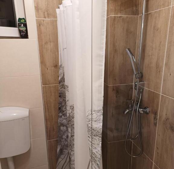 غرفة ديلوكس, Casa Baronului