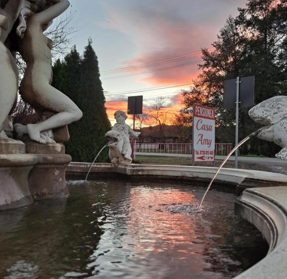 غرفة ديلوكس, Pensiunea Casa Amy