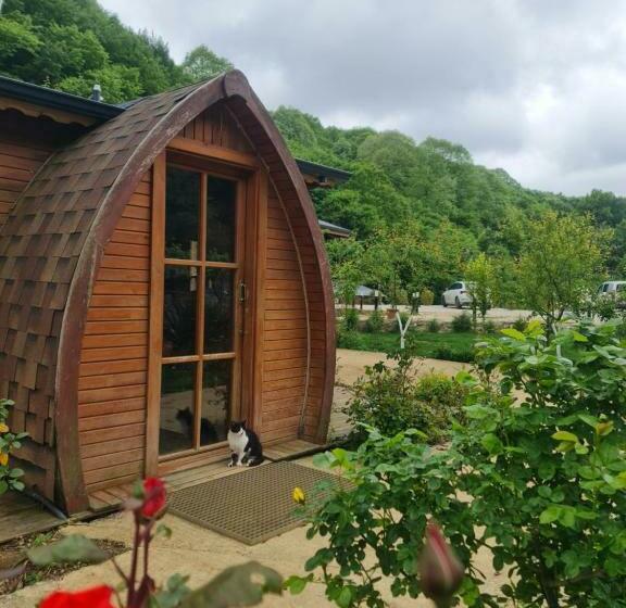 جناح, Sosyete çobani Doğal Yaşam Oteli̇