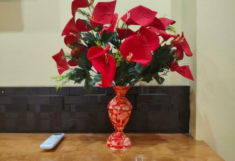 스탠다드 룸, Vaishnavi Near Baba Dham Temple