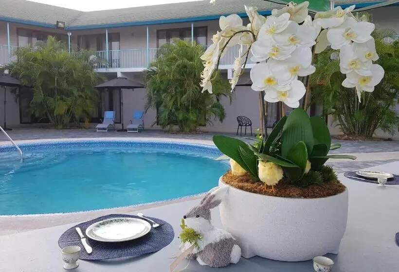 2 Bedroom Apartment Pool View, Route 66 Boutique Hotel & Apartments Jan Thiel