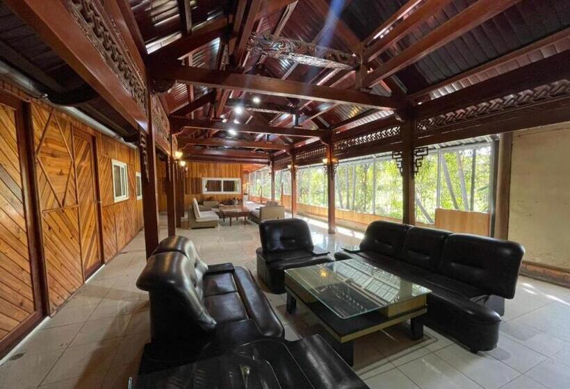 اتاق لوکس, Homestay Mai Anh đào