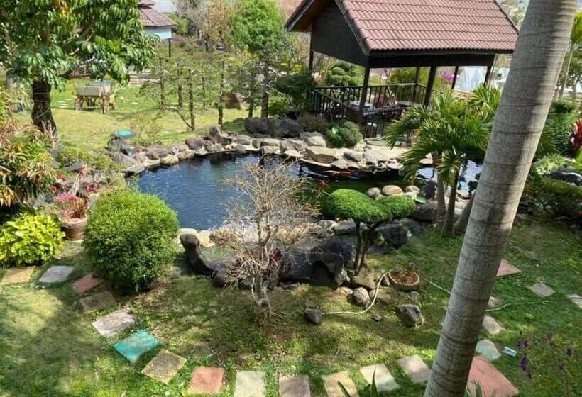 اتاق خانوادگی با چشمانداز باغ, Homestay Mai Anh đào