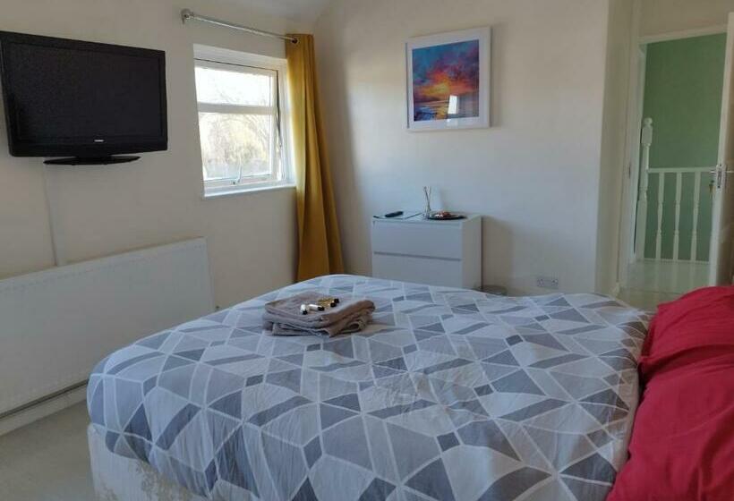 اتاق لوکس, Pace Home