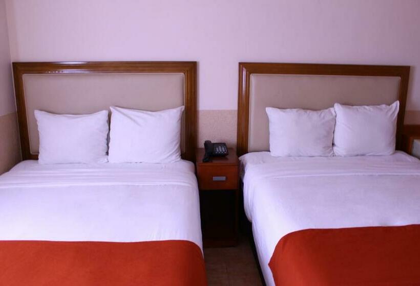 스탠다드 룸, El Regio