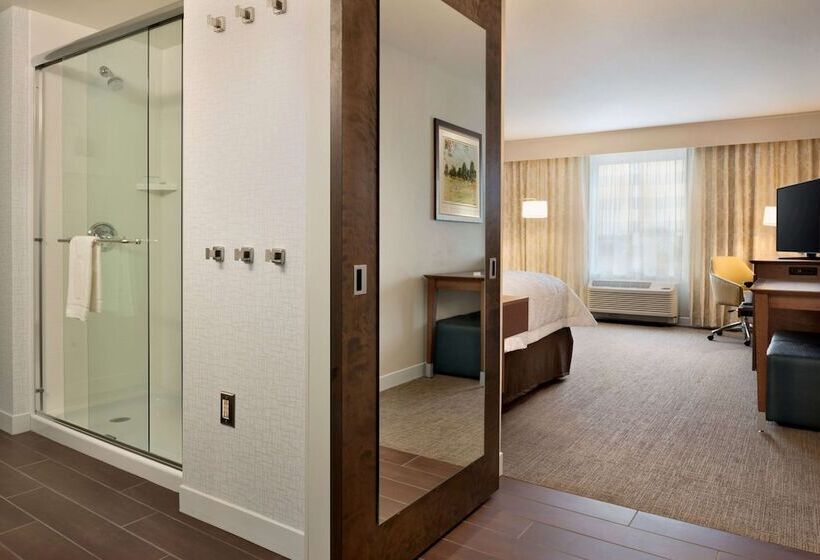 Номер Стандарт Кровать Кинг Адаптированный для Инвалидов, Hampton Inn Lincoln Airport