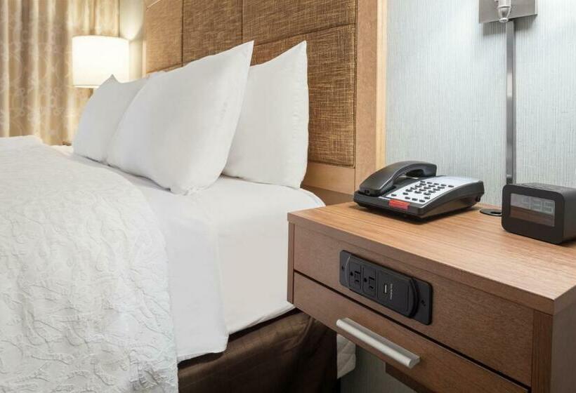 キングサイズベッドのデラックススイート, Hampton Inn Lincoln Airport